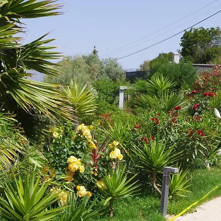 منزل للإقامة F2 Avec Terrasse De 35 M2 Bomorto -